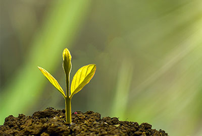 格蓬酯正式投產 